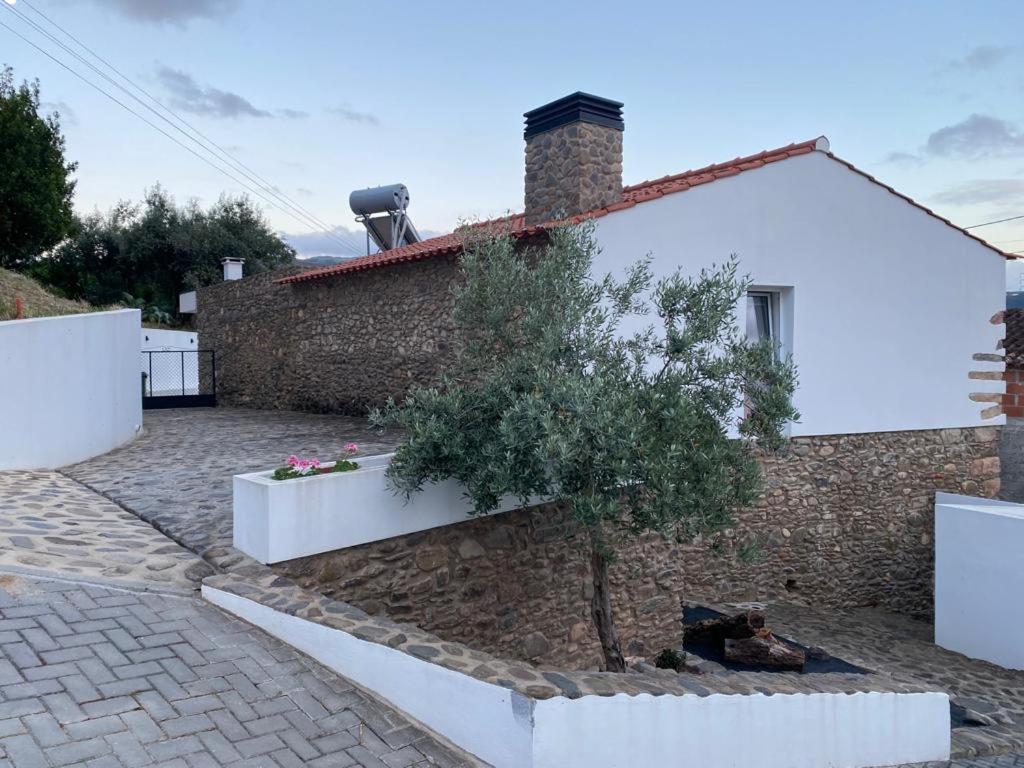 Beautiful House Βίλα Miranda do Corvo Εξωτερικό φωτογραφία